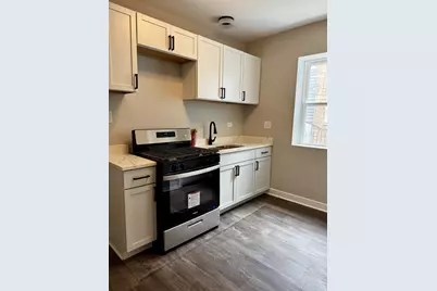 2456 W Lithuanian Plaza Court, Chicago, IL 60629 - Photo 14