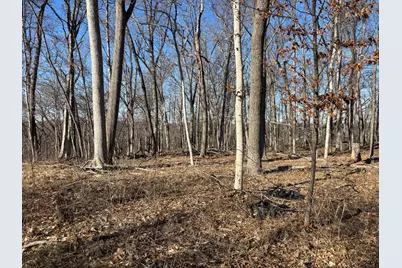 1783 Blueberry Drive, Varna, IL 61375 - Photo 2