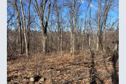 1668 Lakeside Court, Varna, IL 61375 - Photo 2