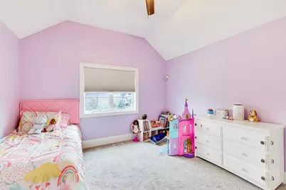 22843 Sara Springs Drive, Frankfort, IL 60423 - Photo 34