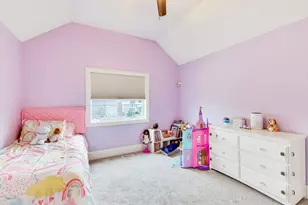 22843 Sara Springs Dr, Frankfort, IL 60423 - Photo 34