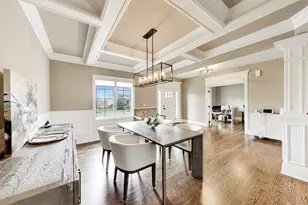 22843 Sara Springs Dr, Frankfort, IL 60423 - Photo 6