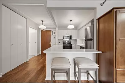 401 E Ontario Street #604, Chicago, IL 60611 - Photo 12