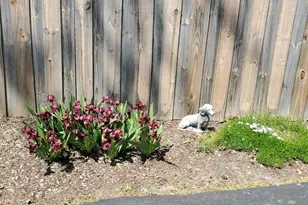 1715 Verde Ct, Mount Prospect, IL 60056 - Photo 28