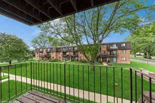 909 S McKinley Ave, Arlington Heights, IL 60005 - Photo 10