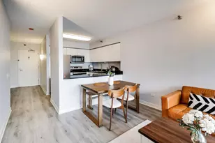 512 N McClurg Ct, Chicago, IL 60611 - Photo 6