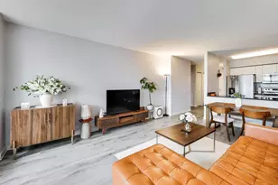 512 N McClurg Ct, Chicago, IL 60611 - Photo 4