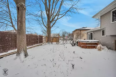 2414 Daniel Lewis Drive, New Lenox, IL 60451 - Photo 4