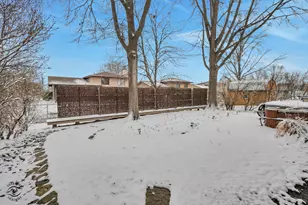 2414 Daniel Lewis Dr, New Lenox, IL 60451 - Photo 4