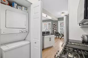 219 N Oak Park Ave, Oak Park, IL 60302 - Photo 18