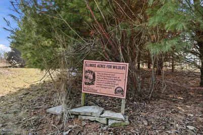 [Address not provided], Peotone, IL 60468 - Photo 64