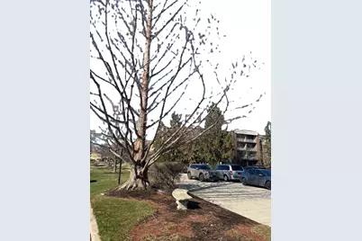 245 S Park Lane #424, Palatine, IL 60074 - Photo 28