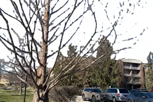 245 S Park Ln, Palatine, IL 60074 - Photo 28