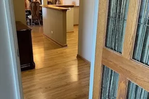 245 S Park Ln, Palatine, IL 60074 - Photo 18