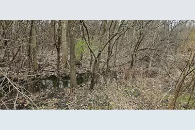 89 E 227th Place, Steger, IL 60475 - Photo 2