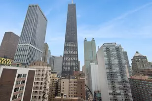 253 E Delaware Pl, Chicago, IL 60611 - Photo 12