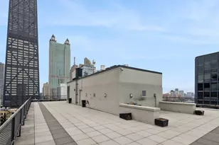 253 E Delaware Pl, Chicago, IL 60611 - Photo 14