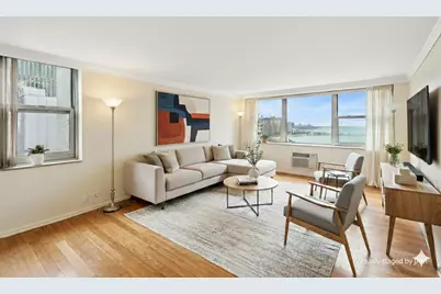 253 E Delaware Place #21G, Chicago, IL 60611 - Photo 4