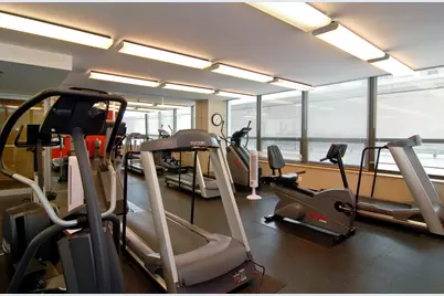 400 E Ohio Street #4203, Chicago, IL 60611 - Photo 48