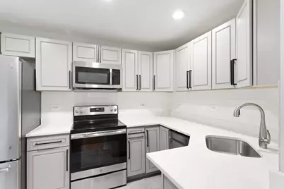 6826 N Ridge Boulevard #302, Chicago, IL 60645 - Photo 4