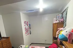 690 Renee Dr, South Elgin, IL 60177 - Photo 16