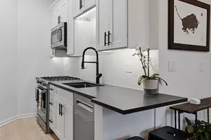 1760 N Wells St, Chicago, IL 60614 - Photo 10