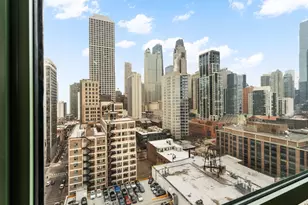 111 W Maple St, Chicago, IL 60610 - Photo 6