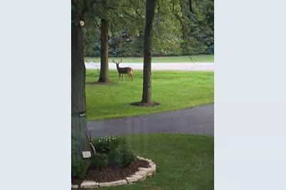 1420 Pine Grove Lane, New Lenox, IL 60451 - Photo 40