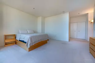 1600 S Prairie Ave, Chicago, IL 60616 - Photo 20