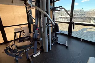 1069 W 14th Pl, Chicago, IL 60608 - Photo 30