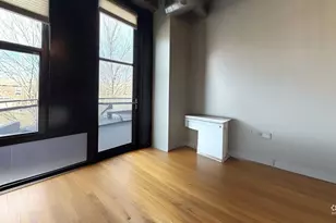 1069 W 14th Pl, Chicago, IL 60608 - Photo 10