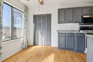 951 Yosemite Trail, Roselle, IL 60172 - Photo 4