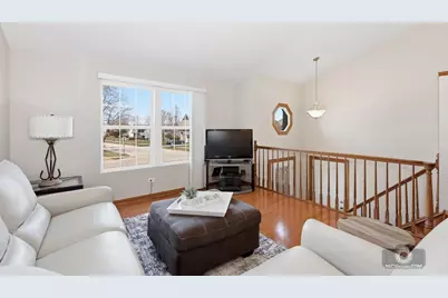 7415 W Braemar Lane W, Frankfort, IL 60423 - Photo 4