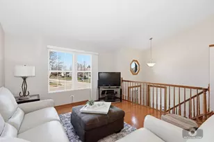 7415 W Braemar Ln W, Frankfort, IL 60423 - Photo 4