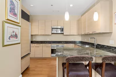 10 E Delaware Street #27E, Chicago, IL 60611 - Photo 10