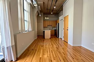 758 N Larrabee St, Chicago, IL 60654 - Photo 4