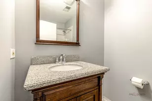 225 Winnsboro Ct, Schaumburg, IL 60193 - Photo 20