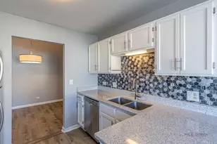 225 Winnsboro Ct, Schaumburg, IL 60193 - Photo 16