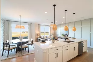 25506 W Emory Ln, Plainfield, IL 60544 - Photo 14