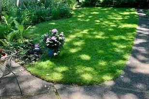 2437 Marcy Ave, Evanston, IL 60201 - Photo 38