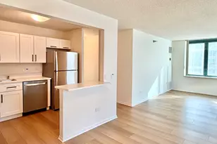 480 N McClurg Ct, Chicago, IL 60611 - Photo 8