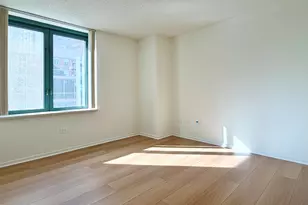 480 N McClurg Ct, Chicago, IL 60611 - Photo 20