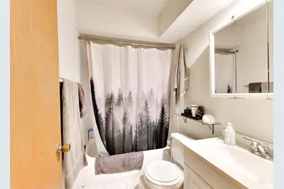 1322 W Barry Avenue, Chicago, IL 60657 - Photo 52