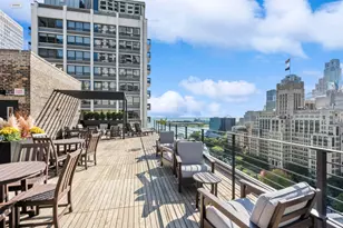 210 E Pearson St, Chicago, IL 60611 - Photo 20