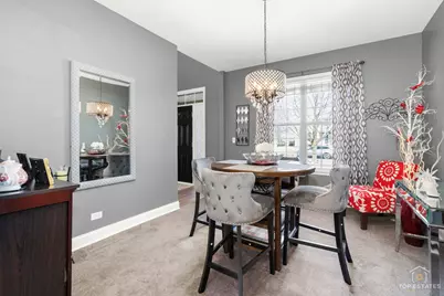 25267 Trelliage Avenue, Plainfield, IL 60585 - Photo 10