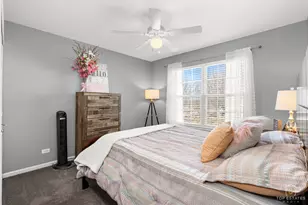 25267 Trelliage Ave, Plainfield, IL 60585 - Photo 24