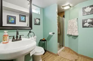 306 Wabasso Pl, Minooka, IL 60447 - Photo 14