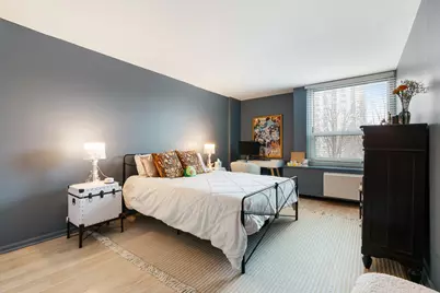 1255 N Sandburg Terrace #309E, Chicago, IL 60610 - Photo 8