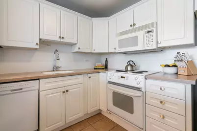 1255 N Sandburg Terrace #309E, Chicago, IL 60610 - Photo 6
