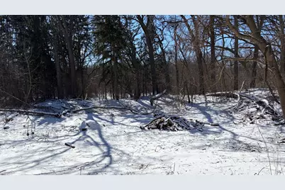 Lot 1 Asbury Avenue, Fox River Grove, IL 60021 - Photo 4